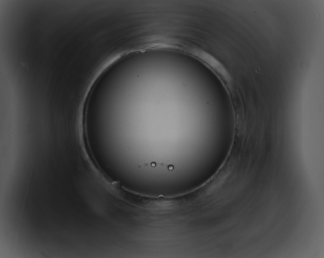X0000100391431200806061245