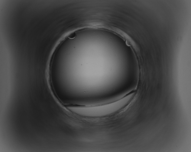X0000100391432200806061245