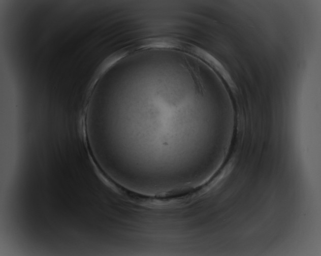 X0000100391433200806061245