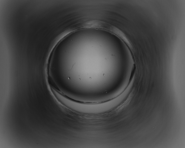 X0000100391434200806061245