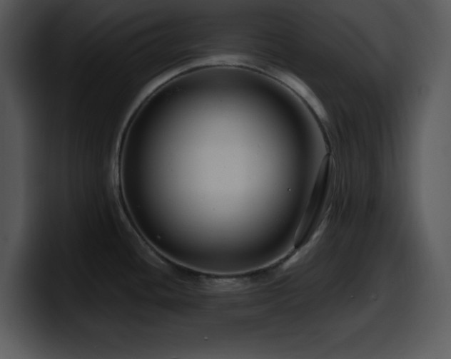 X0000100391436200806061245