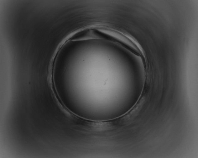 X0000100391437200806061245