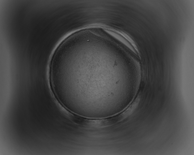 X0000100391438200806061245