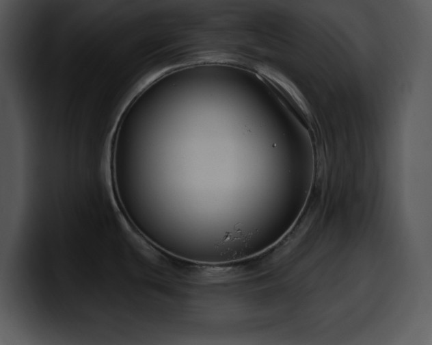 X0000100391439200806061245