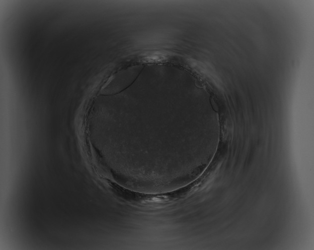 X0000100391441200806061244