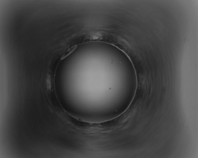 X0000100391442200806061244