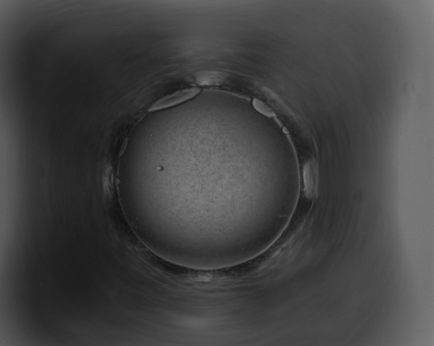 X0000100391443200806061244