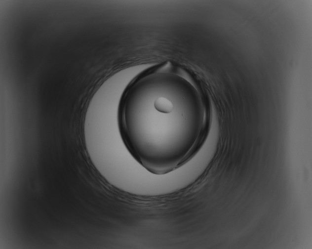 X0000100391444200806061244