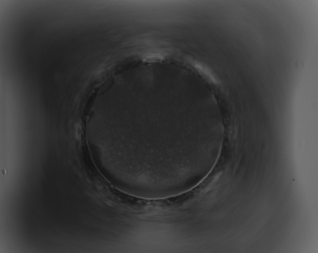 X0000100391445200806061244