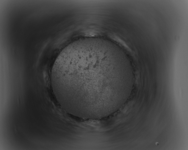 X0000100391446200806061244