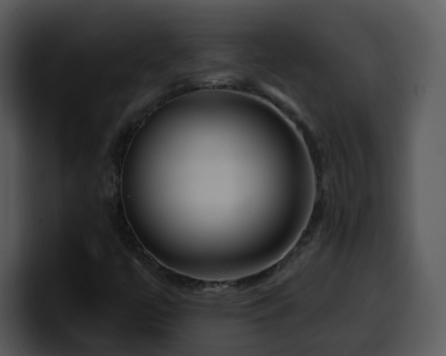 X0000100391447200806061244