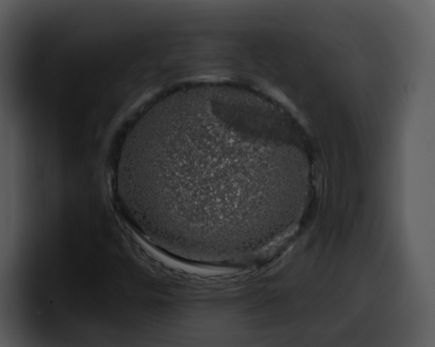 X0000100391448200806061244