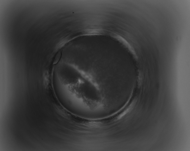 X0000100391449200806061244