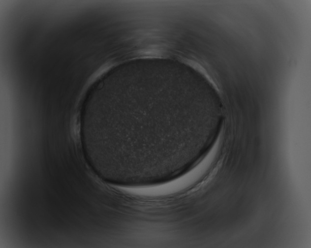 X0000100391450200806061244