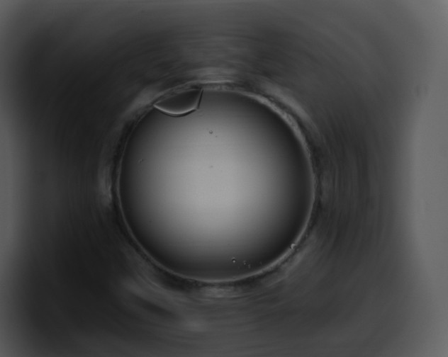 X0000100391451200806061244