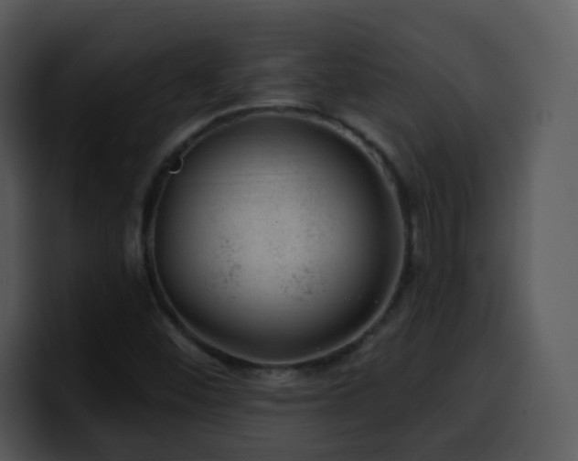 X0000100391452200806061244