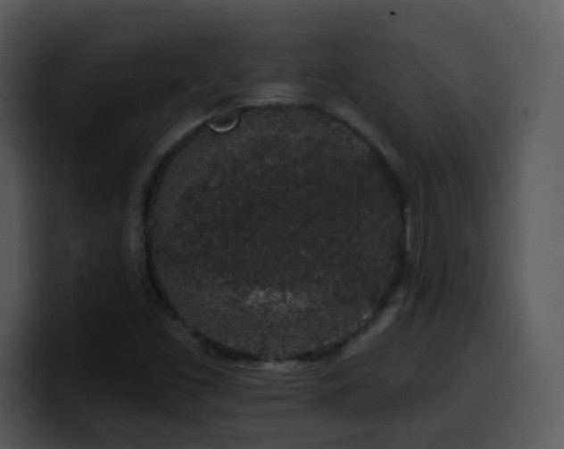 X0000100391453200806061244