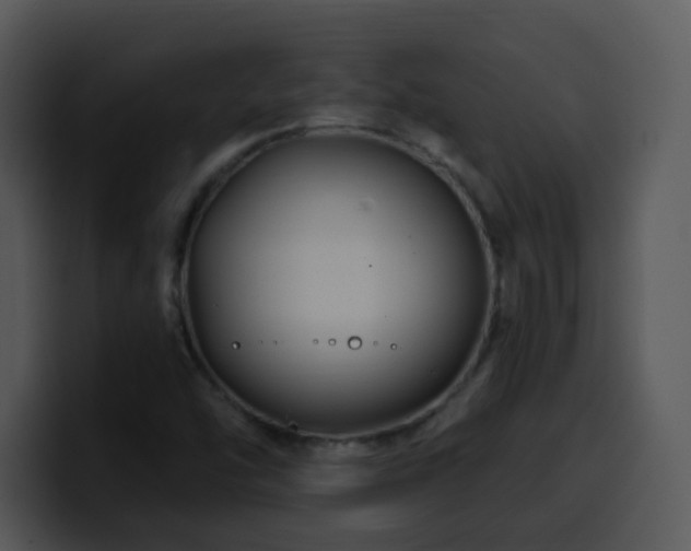 X0000100391454200806061244