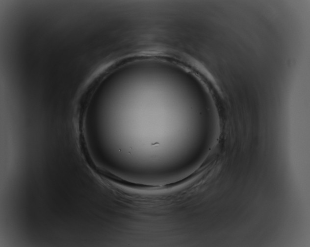 X0000100391456200806061244