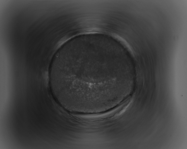 X0000100391457200806061244