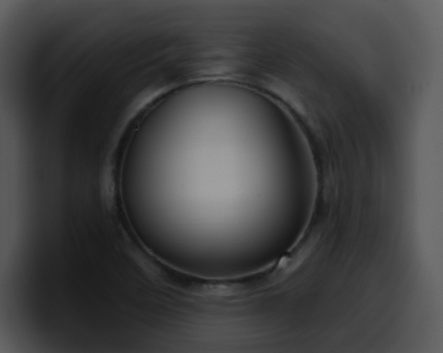 X0000100391458200806061244