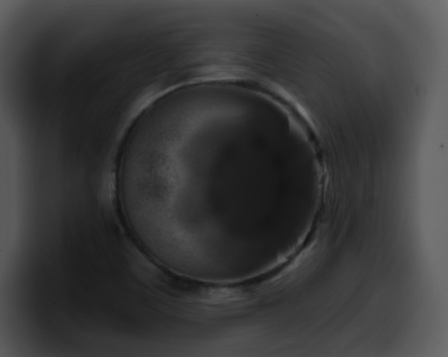 X0000100391459200806061244