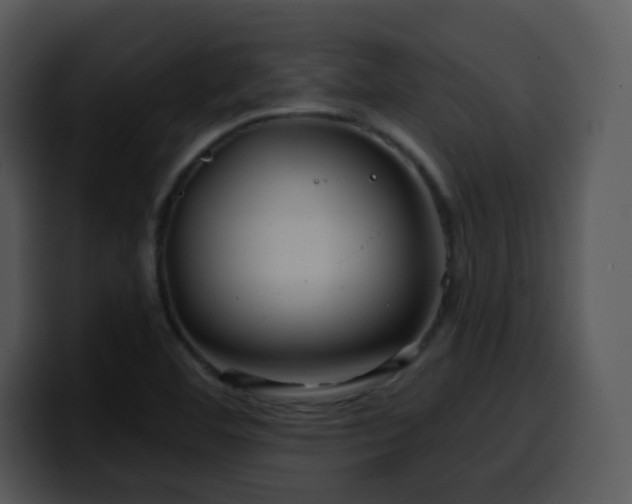 X0000100391460200806061244