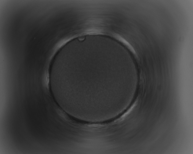 X0000100391461200806061244