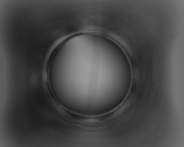 X0000100391462200806061244
