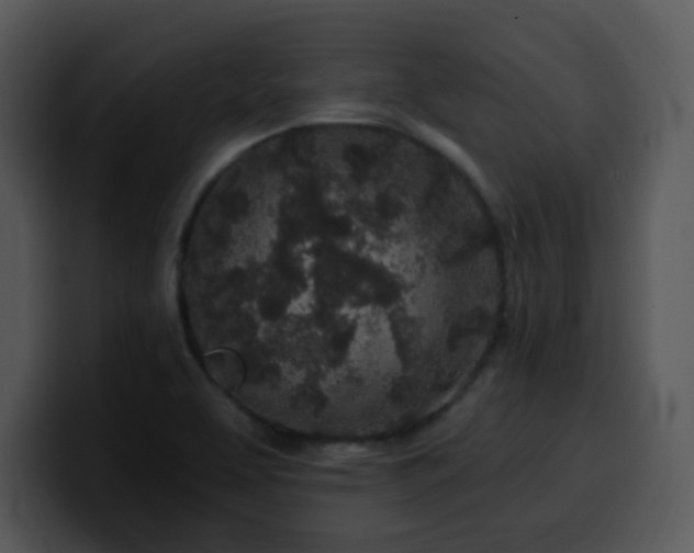 X0000100391463200806061244