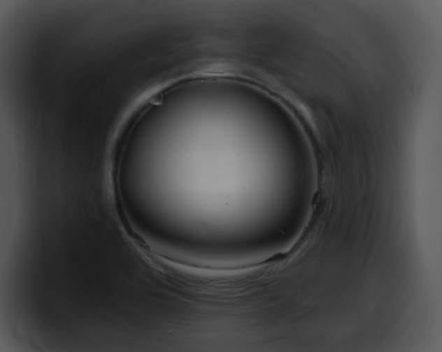 X0000100391464200806061244