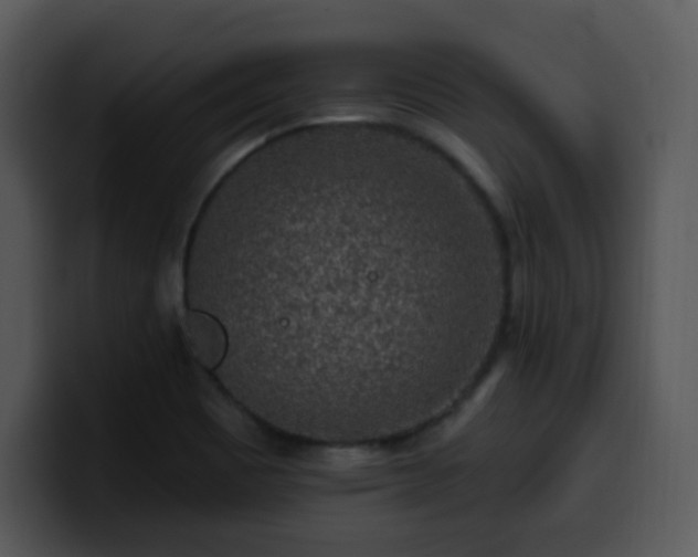 X0000100391465200806061244