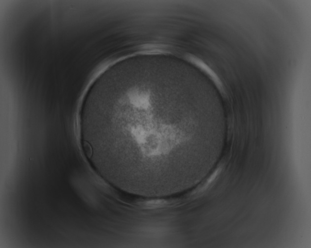 X0000100391467200806061244