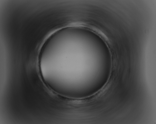 X0000100391470200806061244