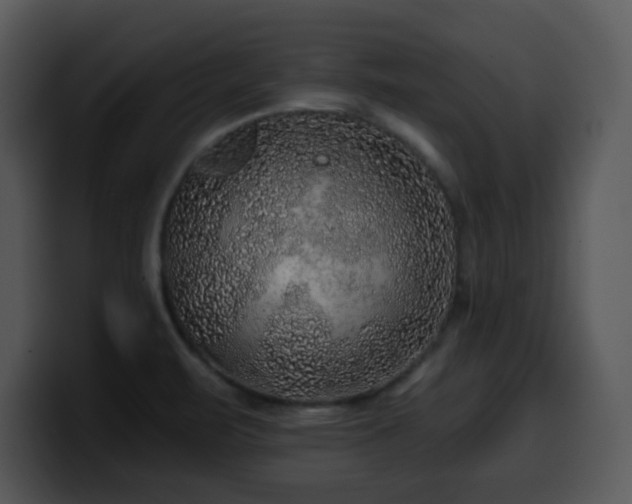 X0000100391471200806061244