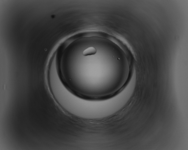 X0000100391472200806061244
