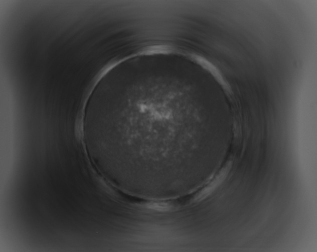 X0000100391473200806061244