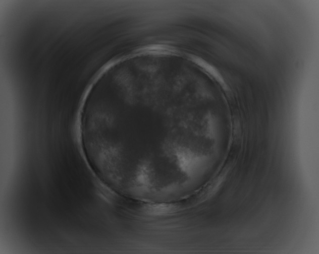 X0000100391474200806061244
