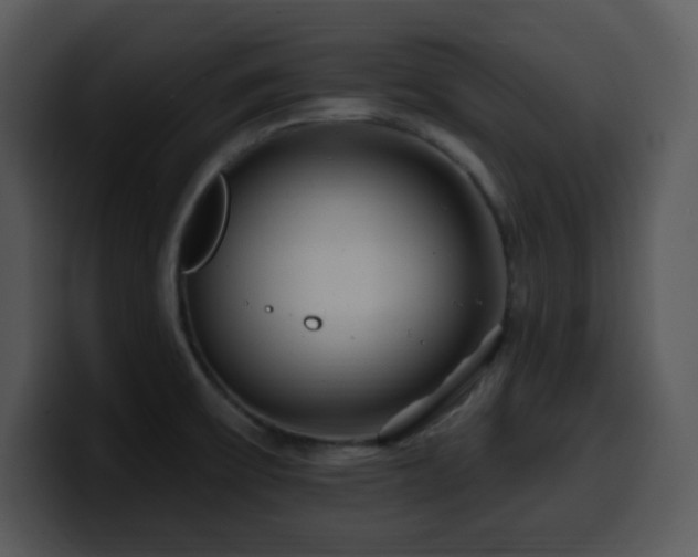 X0000100391475200806061244