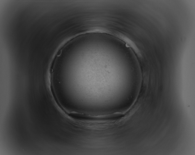 X0000100391476200806061244
