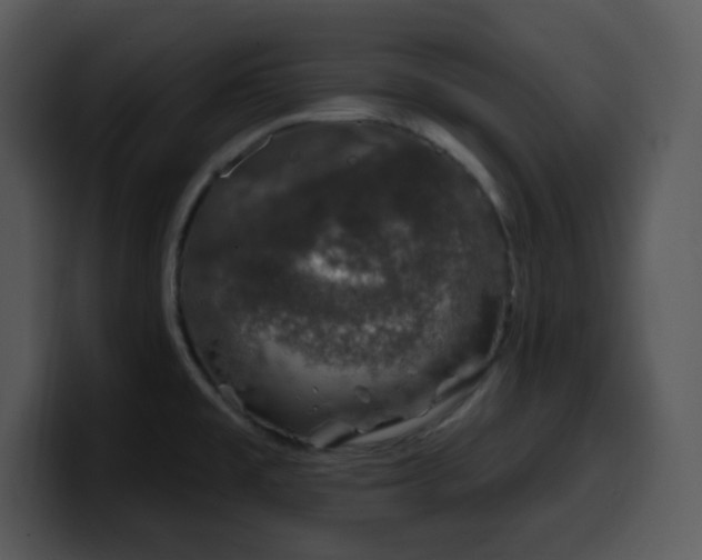 X0000100391477200806061244