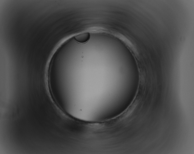 X0000100391478200806061244
