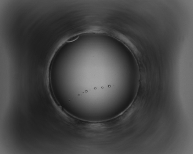 X0000100391479200806061244