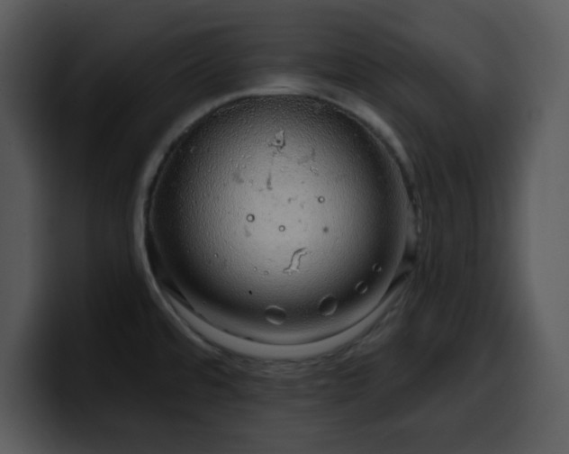 X0000100391480200806061244