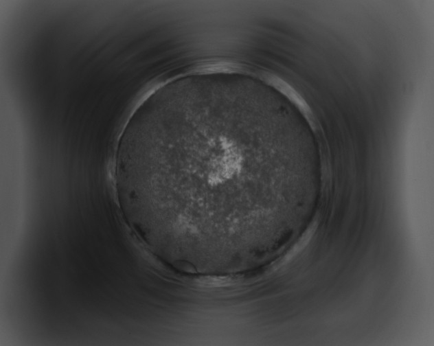 X0000100391481200806061244
