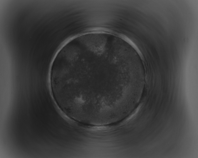 X0000100391482200806061244