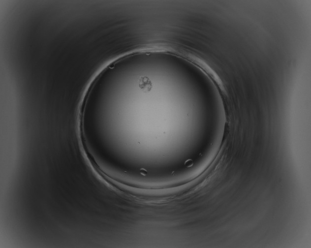 X0000100391484200806061243