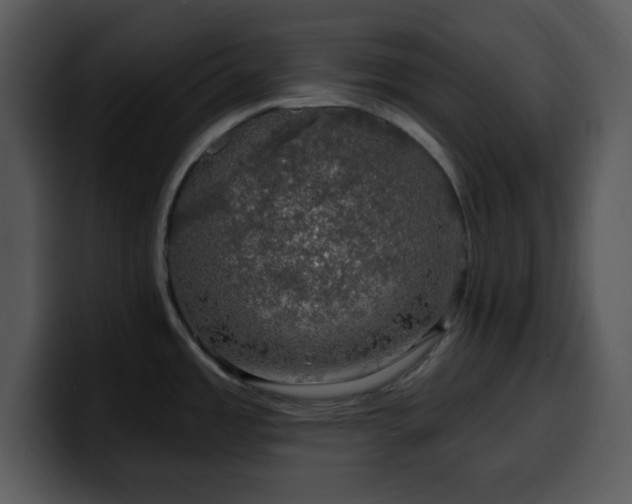 X0000100391485200806061243