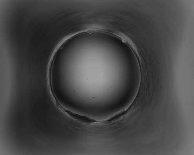 X0000100391488200806061243