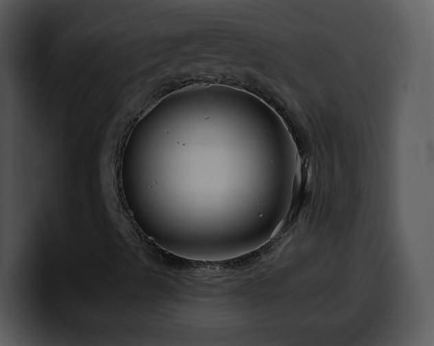 X0000100391489200806061243